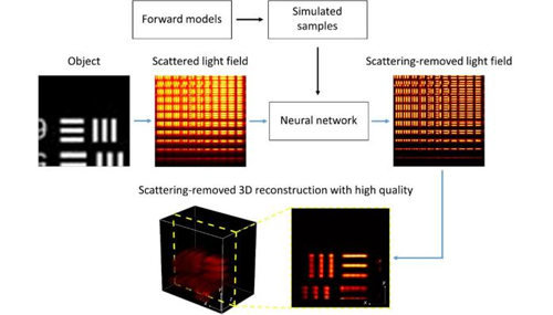 Deep learning-based scattering removal of light field imaging