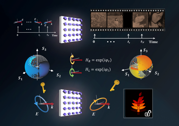 Phase-only Metasurfaces For Polarization-Multiplexed Holographic