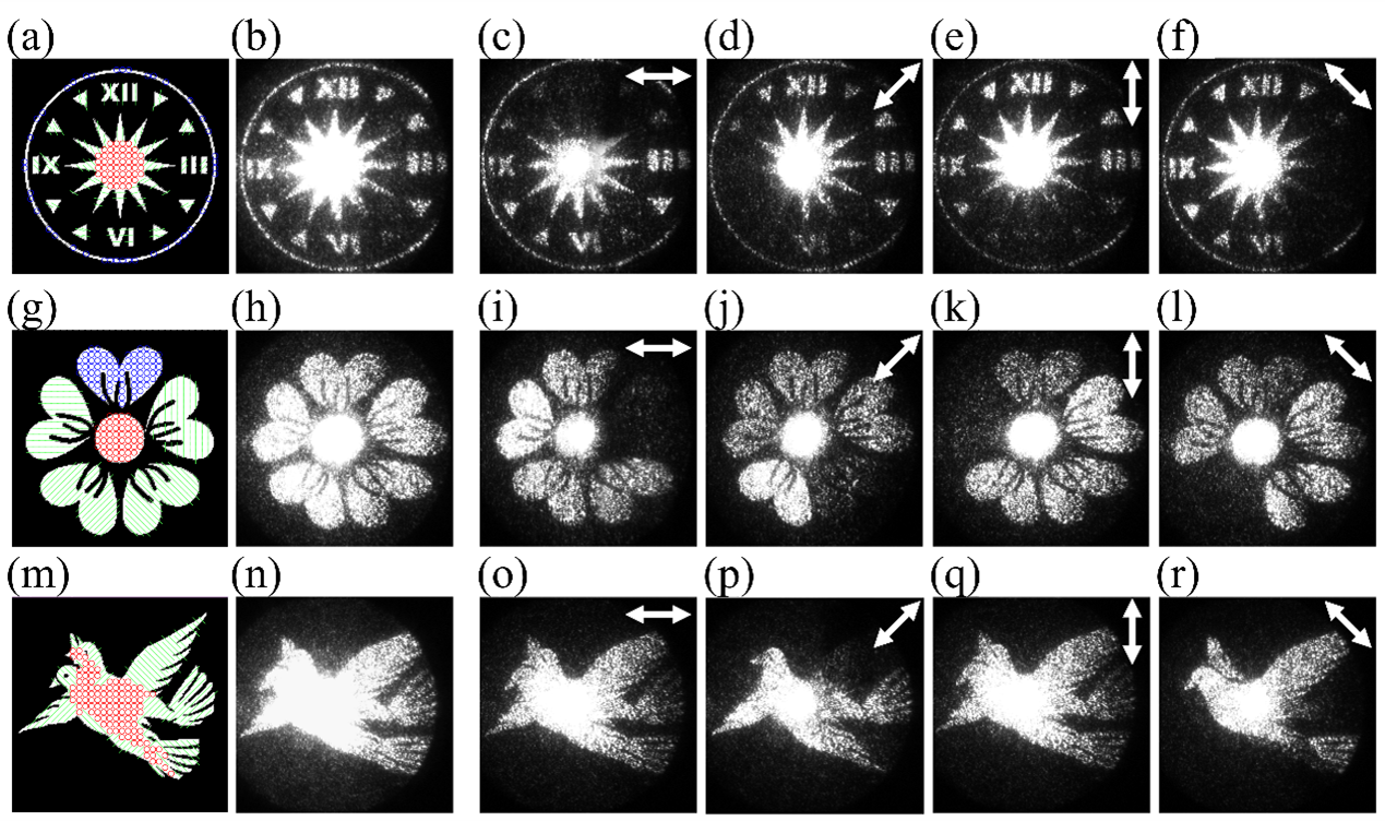 Experimental demonstrations of different vectorial holograms